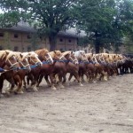 IMG06194